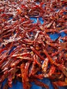 A large number of sun-dried red peppers that are included. With natural light outdoors shooting horizontally