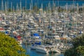 A large number of yachts in the marina, Gulf Harbour, Auckland, in New Zealand Royalty Free Stock Photo