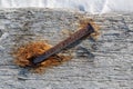 A large old bent rusty nail is driven into a wooden beam