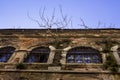 A large old building from which trees grow. An ancient building with windows on which are lattices Royalty Free Stock Photo