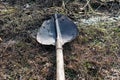 Large old and rusty shovel, licks in the garden on a land plot with dry grass, forgotten garden tools, not well-groomed tools