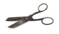 Large old scissors isolated on white background Royalty Free Stock Photo