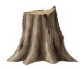 Large old tree stump oak broken trunk Royalty Free Stock Photo