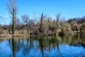 Large old trees near the lake in Tineretului Park (Parcul Tineretului) in Bucharest, Romania, in a sunny winter day Royalty Free Stock Photo