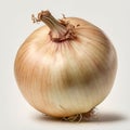 Large onion, bulb consisting of scaly, layered leaves