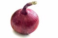 Large onion on white background.