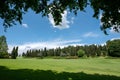 Large open garden with evergreen Cypress trees Royalty Free Stock Photo