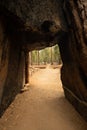 Large Opening Of The Mariposa Grove Tunnel Tree