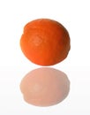 Large orange