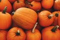 Large orange Halloween `Ghostride` pumpkins Royalty Free Stock Photo