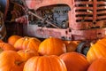 Large orange Halloween Thanksgiving pumpkins in foreground, old red vintage tractor engine in background Royalty Free Stock Photo