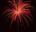 Large Orange and Pink bursting firework on black background Royalty Free Stock Photo