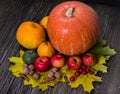 Large orange pumpkin and apples