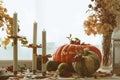 Large orange pumpkin, small green pumpkins and candles on the windowsill Royalty Free Stock Photo