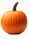 Large Orange Pumpkin White Background Royalty Free Stock Photo