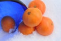 Large oranges in a glass vase in snow