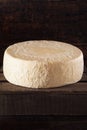Large Organic White Cheese Wheel Royalty Free Stock Photo