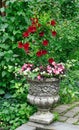 Large ornate flower pot