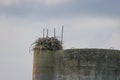 Large Osprey Nest on top of a storage tower