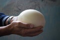 Large ostrich egg in male hands