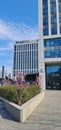 Large outdoor concrete planter is situated at the entrance to a large building