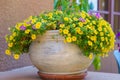 A large outdoor flower pots bursts with a profusion of colorful garden petunia flowers, creating a vibrant display Royalty Free Stock Photo