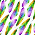 Seamless pattern of bird feathers. Watercolor drawing. Royalty Free Stock Photo