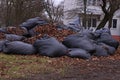 Large overflowing black trash bags full of raked up dry tree leaves in local area. Parks, courtyards buildings cleaning Royalty Free Stock Photo