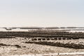 Large oyster beds during low tide and sloop in Ban Bai Bua, Thailand Royalty Free Stock Photo