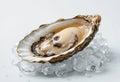 A large oyster is sitting on a bed of ice Royalty Free Stock Photo