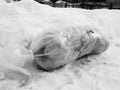 A large package of garbage lies right on the road against the backdrop of snow in winter