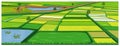 Large paddy field Royalty Free Stock Photo