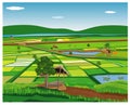 Large paddy field Royalty Free Stock Photo