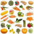 Large page of fresh vegetables