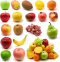 Large page of fruits