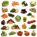 Large page of vegetables