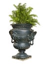 Large painted blue iron garden urn with fern plant Royalty Free Stock Photo