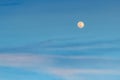 Large pale full mon over blue pink clouds in the evening sky. Amazing tranquil twilight skyscape. ÃÂstronomy and moon phases.
