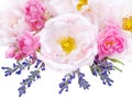 Pink roses and lavender bouquet isolated on white Royalty Free Stock Photo