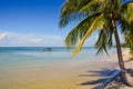 Palm on Sand Beach by Shallow Azure Sea Boat on Horizon