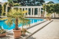 A large palm tree next to the beautiful refreshing clear blue water in the outdoor pool in the garden Royalty Free Stock Photo