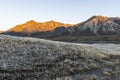 Molesworth Station, NZ Royalty Free Stock Photo