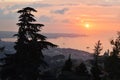 Large panoramic view   at sunset of  Beirut big city  in front of mediterranean see, in Lebanon with a cedar tree Royalty Free Stock Photo