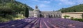 Large panoramic view of lavender field at ancient monastery Abbey of Senanque