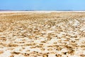 Large area with footprints, salt lake Alyki,Limnos. Royalty Free Stock Photo