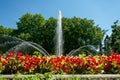 A large park fountain in the center of Poznan. Surrounded by flower beds Royalty Free Stock Photo