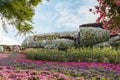 Large passenger plane made of flowers on the territory of the botanical Dubai Miracle Garden in Dubai city, United Arab Emirates