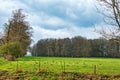 large pasture with several trees on a stormy day in the background