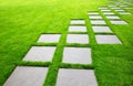 Large Pavers on Diagonal Royalty Free Stock Photo