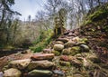 Large pebbles by riverside